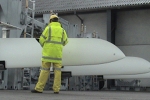 Cargo survey 01.